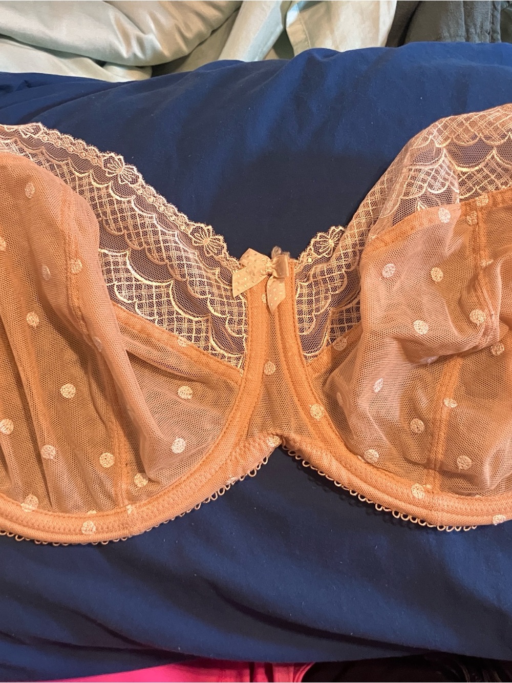 Panache Peach Polka Dot Lace Underwire Bra